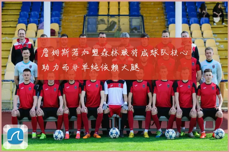 詹姆斯若加盟森林狼将成球队核心助力而非单纯依赖大腿