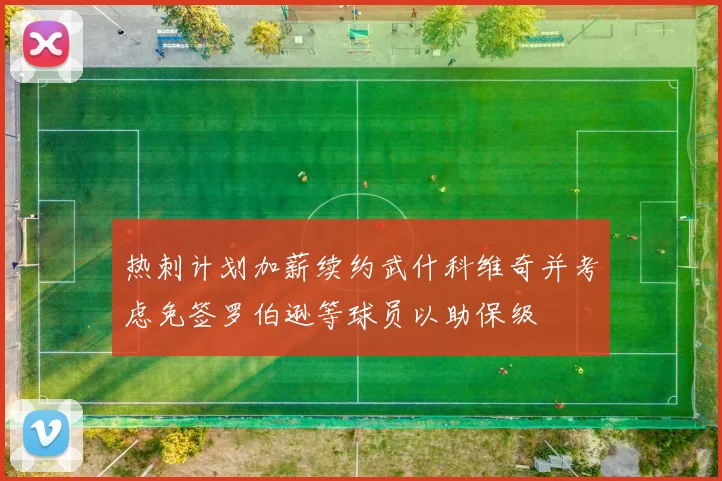 热刺计划加薪续约武什科维奇并考虑免签罗伯逊等球员以助保级