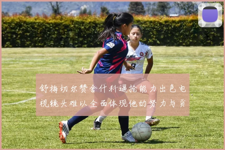 舒梅切尔赞舍什科逼抢能力出色电视镜头难以全面体现他的努力与贡献
